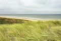Typical dutch coastal landscape with sea, beach, waves, horizon, marram grass Royalty Free Stock Photo
