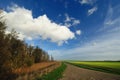 Typical Dutch country landscape in Marken Royalty Free Stock Photo