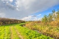 Typical Dutch flat polder landscape Royalty Free Stock Photo