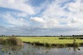 Typical Dutch green landscape with cloudy sky Royalty Free Stock Photo