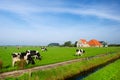 Typical dutch landscape Royalty Free Stock Photo
