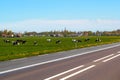 Typical dutch landscape with cows farmland and a farm house Royalty Free Stock Photo