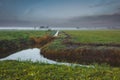 Typical Dutch landscape with green field and mill. Autumn morning in province Frisland, horizon, foog, dike, green grass with dew. Royalty Free Stock Photo