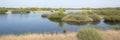 Typical dutch landscape panorama with river de Waal, uiterwaarden, vegetation, water on a bright sunny day
