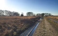 Typical dutch meadow landscape with stream and tree edge during late fall