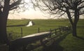 Typical dutch meadow landscape with stream and tree edge during late fall