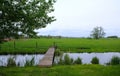 Typical dutch panorama landscape with cows and grass, beautiful blue sky and white clouds. Royalty Free Stock Photo