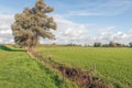 Typical Dutch polder landscape in autumn Royalty Free Stock Photo