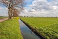 Typical Dutch polder landscape at the beginning of spring Royalty Free Stock Photo