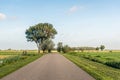 Typical Dutch polder landscape with a country road between the m Royalty Free Stock Photo