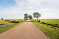 Typical Dutch polder landscape in the Dutch region Alblasserwaard Royalty Free Stock Photo