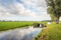 Typical Dutch polder landscape Royalty Free Stock Photo