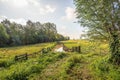 Typical Dutch polder landscape Royalty Free Stock Photo