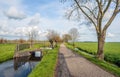 Typical Dutch polder road with small bridges and pollard willows