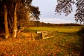 Typical Dutch rural landscape Royalty Free Stock Photo