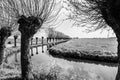 Typical Dutch scenic landscape with a row of trees along the river