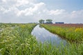 Typical dutch view in the countryside from the Netherlands