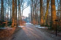 Typical Dutch winter landscape in January near Delden Twente, Overijssel Royalty Free Stock Photo