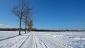 Typical dutch winter landscape in the Netherlands Royalty Free Stock Photo