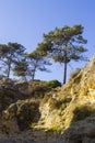 Typical exposed sedimentary sand stone cliff face on the Praia da Oura beach in Albuferia with Pine trees at the top Royalty Free Stock Photo