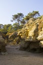 Typical exposed sedimentary sand stone cliff face on the Praia da Oura beach in Albuferia with Pine trees at the top