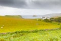 A typical farm with sheep breeding in the island of Skye Royalty Free Stock Photo