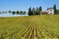 Typical farm in Umbria Italy at summer