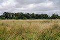 Typical field on cluody day in england uk