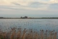Typical flat Dutch polder with its ditches and lakes Royalty Free Stock Photo