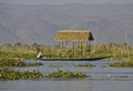 Typical floating house and a fisherman on Inle Lake