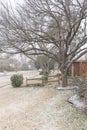 Typical font yard entrance of suburban bungalow house in heavy snow fall near Dallas, Texas, USA