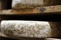 Typical French Comte cheese wheel crusts aging for months, closeup