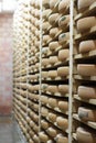 Typical French Comte cheese wheels aging on wooden shelves, France