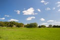 Typical French landscape with sheep