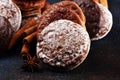 Typical German Gingerbreads such as Lebkuchen and Aachener Printen on rustic Royalty Free Stock Photo