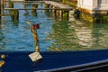 Typical golden figure on a gondola, in Venice