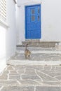 Typical greek alley with a door, cat and steps Royalty Free Stock Photo