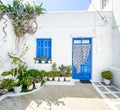 Typical greek front yard with white wall, blue door and lots of plants to decorate