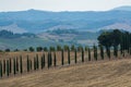 Typical green landscape in Tuscany, on the hills of Val d`Orcia