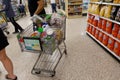 A typical grocery cart filled with food and disinfectant cleaning supplies at a Publix grocery store