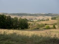 Hills in Oltenia