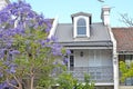 Typical historical Australian building with flowering jacaranda tree at the foreground