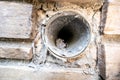 Interior view of dryer vent line with lint and dust buildup Royalty Free Stock Photo