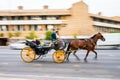 Typical horse carriage for tourist transport in motion blur in Seville, Spain