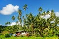 Typical house in Bouma village surrounded by palm trees on Taveuni Island, Fiji