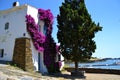 Typical house at mediterranean landscape