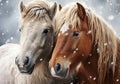 Typical Icelandic horse in winter landscape with falling snow. AI generated Royalty Free Stock Photo