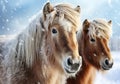 Typical Icelandic horse in winter landscape with falling snow. AI generated Royalty Free Stock Photo