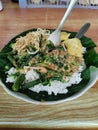 A typical Indonesian dish called pecel Royalty Free Stock Photo