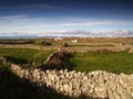 Typical Inishmore landscape, Ireland Royalty Free Stock Photo